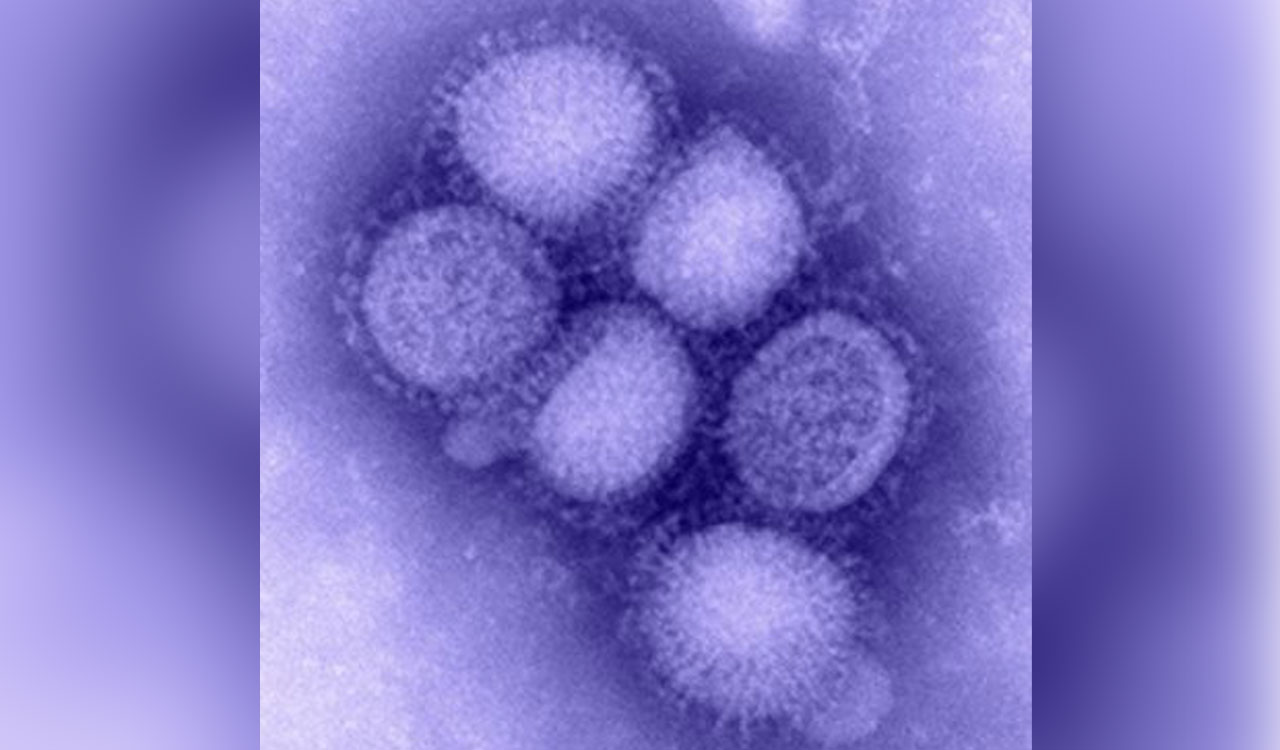 Delhi Medical Association issues advisory amid rise in H1N1 cases