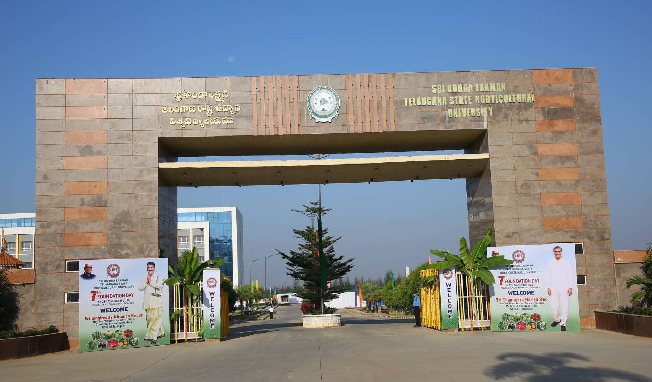 Telangana horticulture university charts roadmap, VC highlights tech push