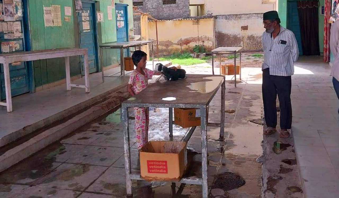 Hyderabad’s Pathergatti veterinary hospital seeks upgrade amid rising caseload
