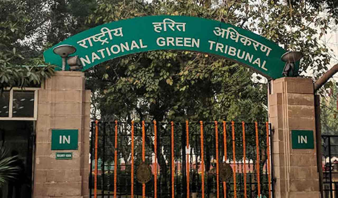 NGT’s Chennai bench directs MCC to ensure 100 pc door-door segregation of waste