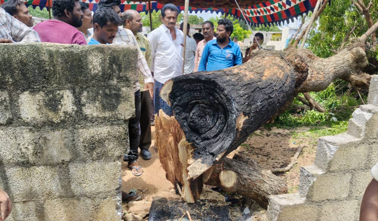 Neem tree dispute turns fatal, two killed in Suryapet