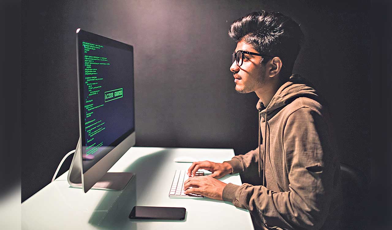 Opinion: Beyond the coding boom—the silent evolution of technology and entry-level work