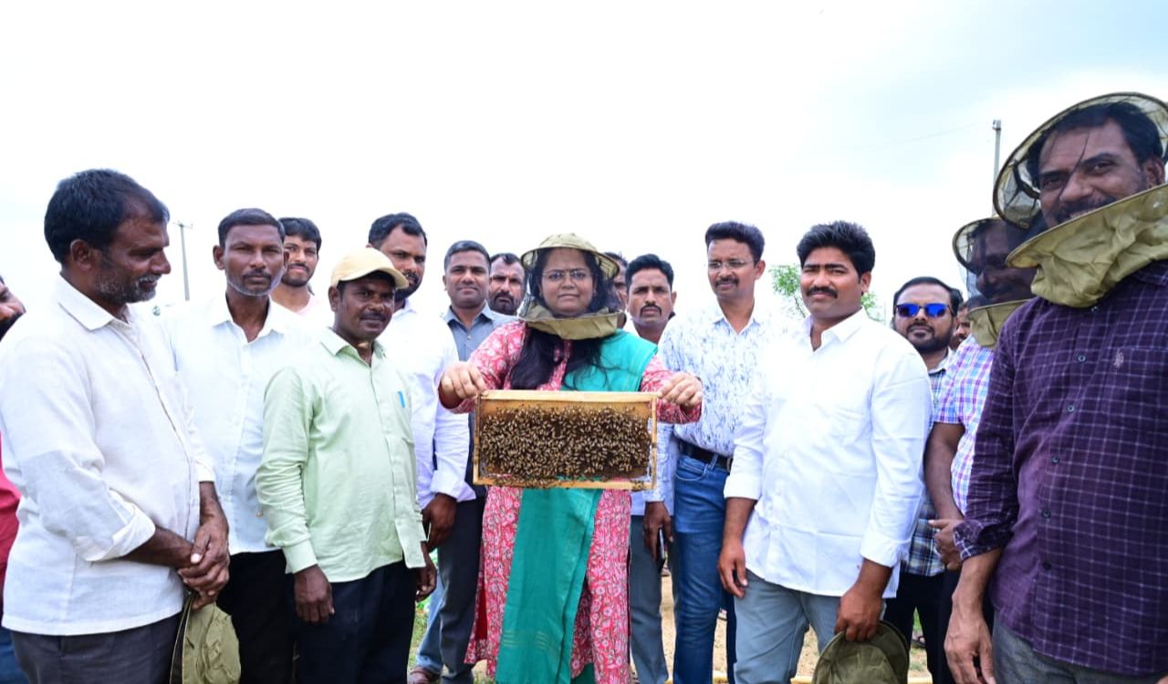 Medak Collector Prathima Singh encourages farmers to take up alternative cultivation