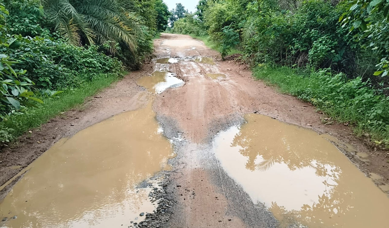 Inordinate delay in widening forest roads irks motorists in Asifabad