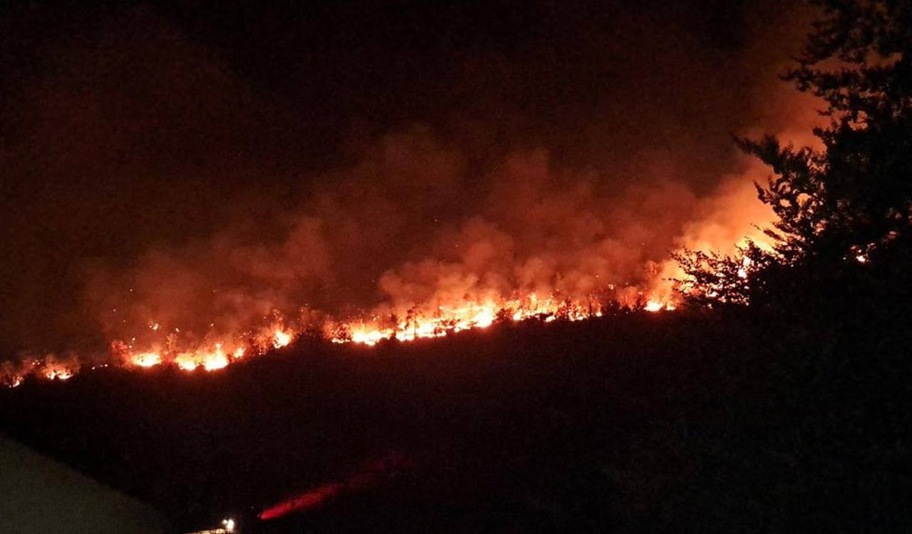 Serbia battles wildfires as extreme heat, drought intensify
