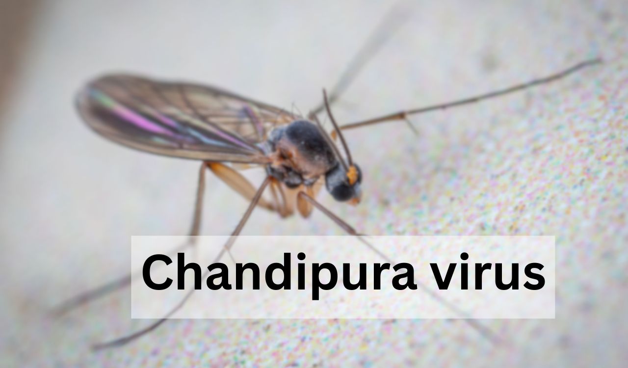 Gujarat’s Chandipura virus deaths revive memories of Telangana’s 2003 outbreak