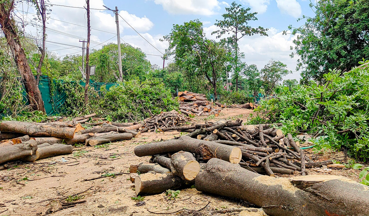 Over 400 trees felled for SCB elevated corridor in Hyderabad