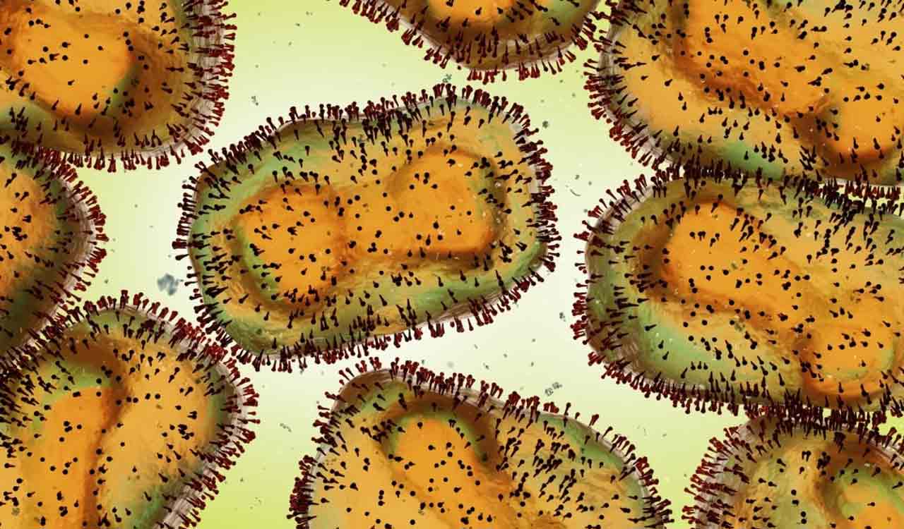Gujarat reports 22 child deaths linked to Chandipura virus