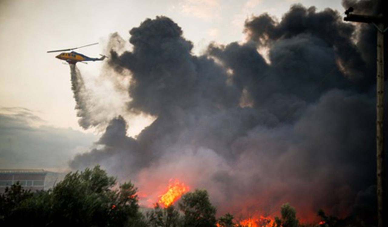 Record wildfire scorches 2,000 hectares in Belgium