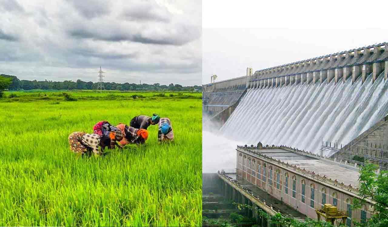 While farmers in Palamuru, Nalgonda and Rangareddy struggle for water, the Revanth Reddy government remains silent