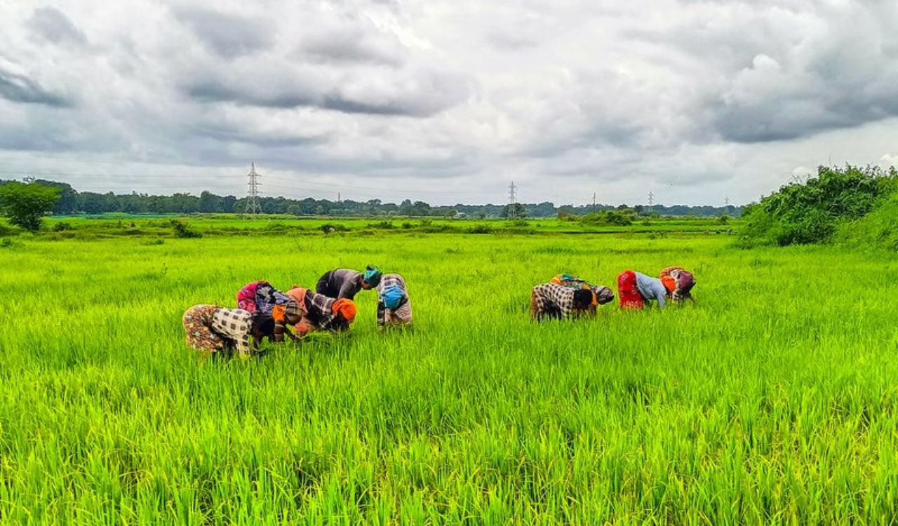 18.19 lakh farmers join natural farming drive as India focuses on soil health