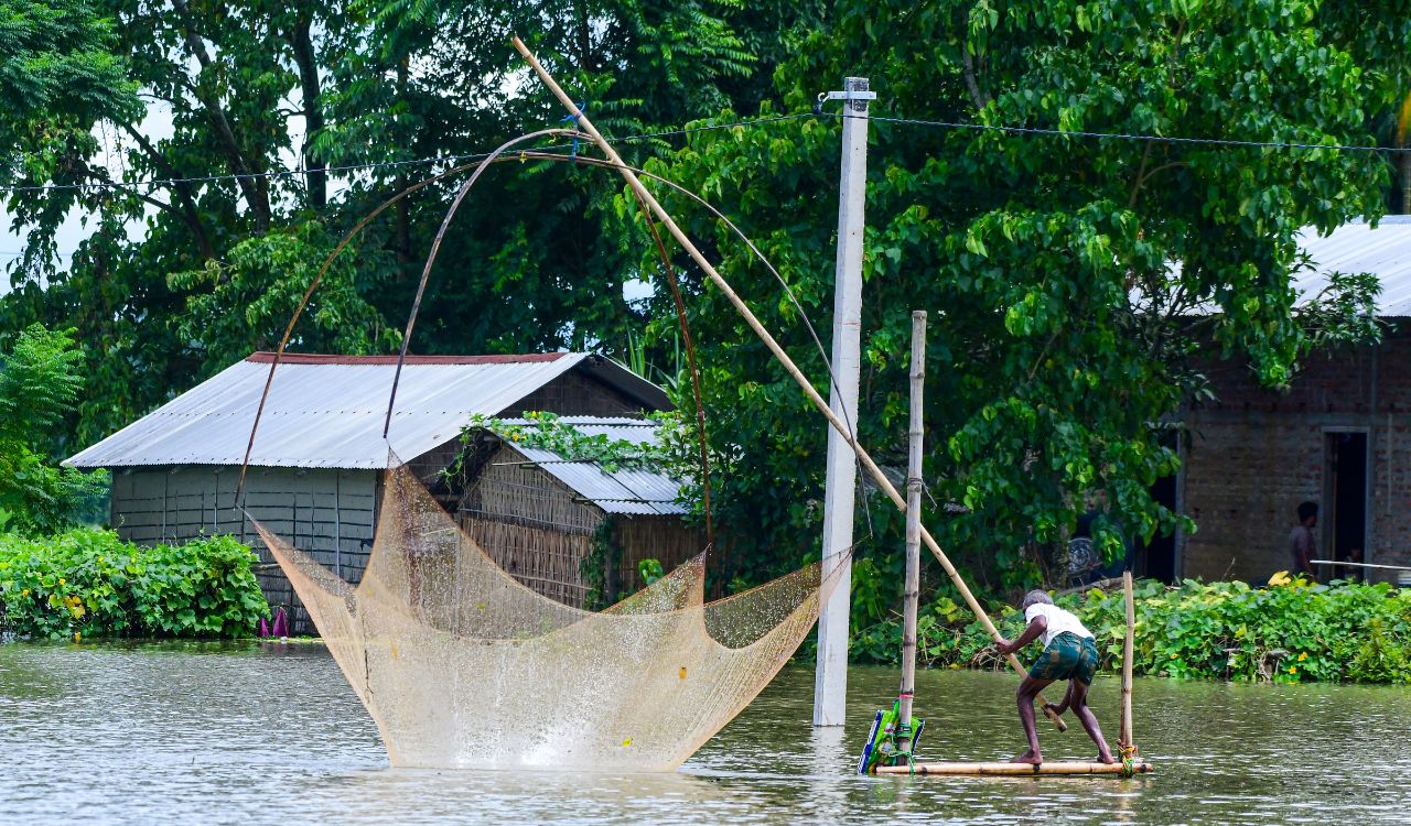 India is world’s second-largest fish producer, contributes 8 per cent to global output