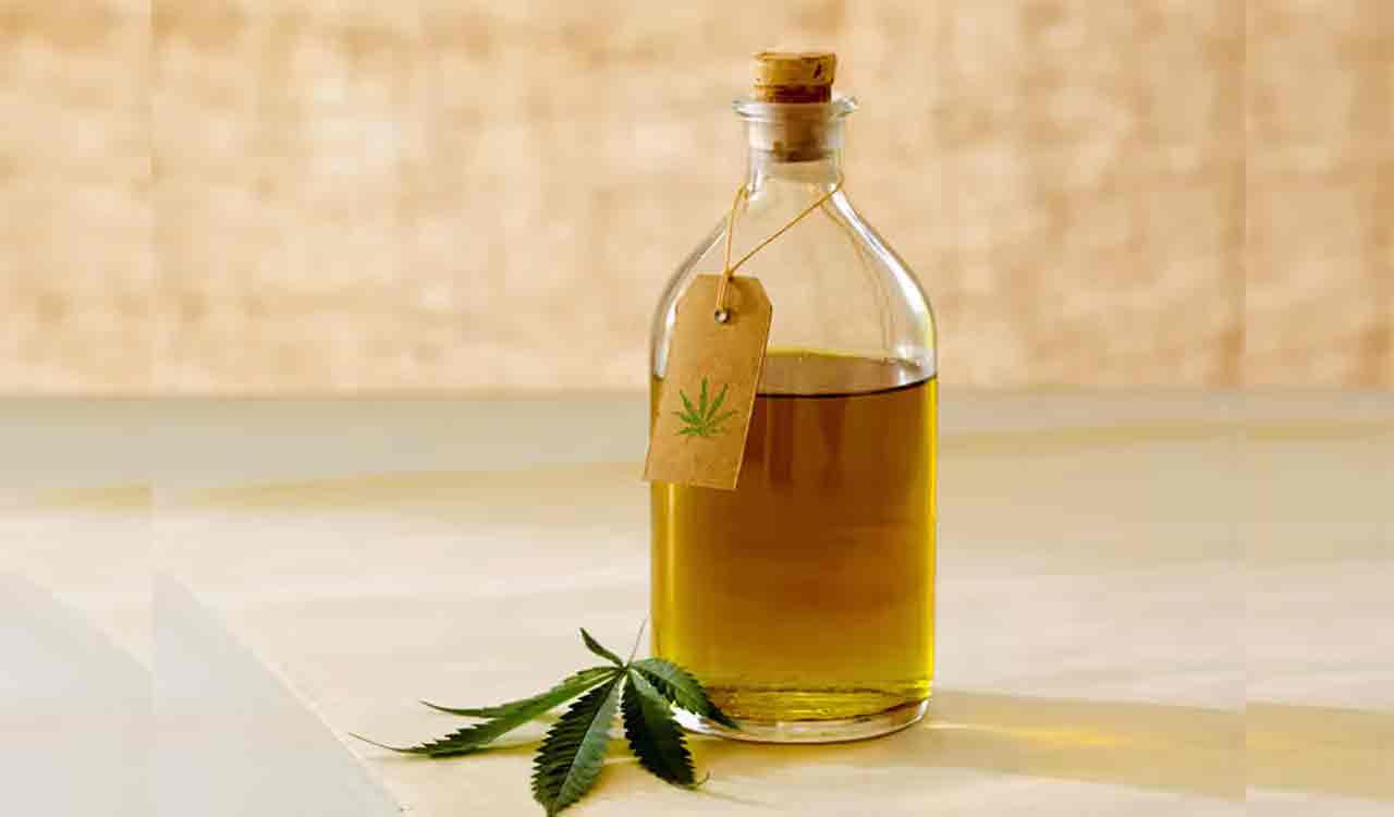 Hyderabad cops seize hashish oil worth Rs 1.75 crore, two arrested