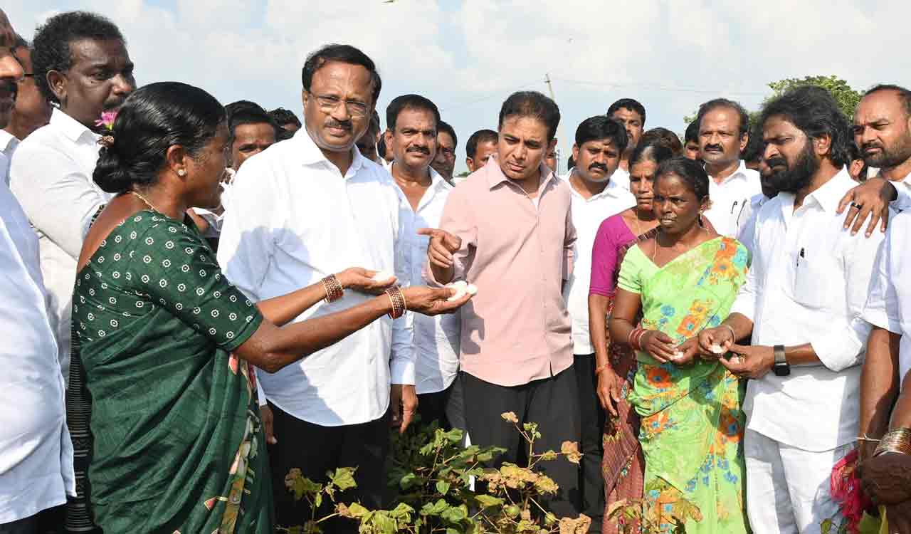 KTR demands crop loss survey, compensation for Palamuru farmers