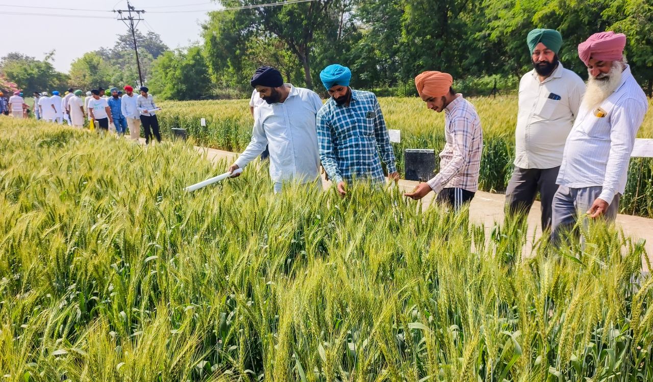 Govt announces over Rs 2.9 crore in soil carbon payments for 2,550 farmers