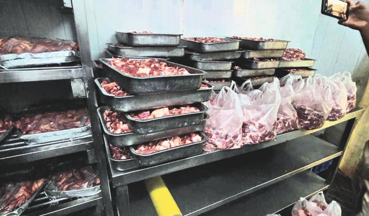 Cockroaches, rat faeces found as TG SAFE acts against 11 Hyderabad eateries