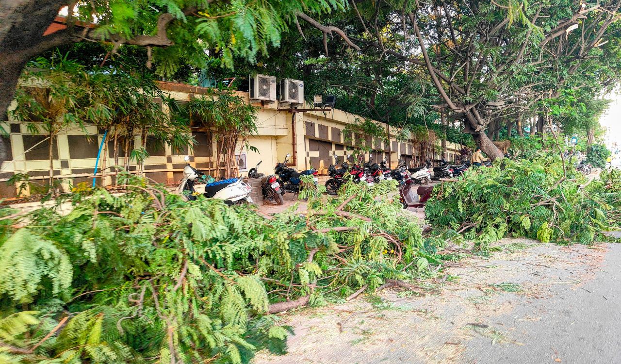 Uncleared green waste in Banjara Hills, cause inconvenience road users