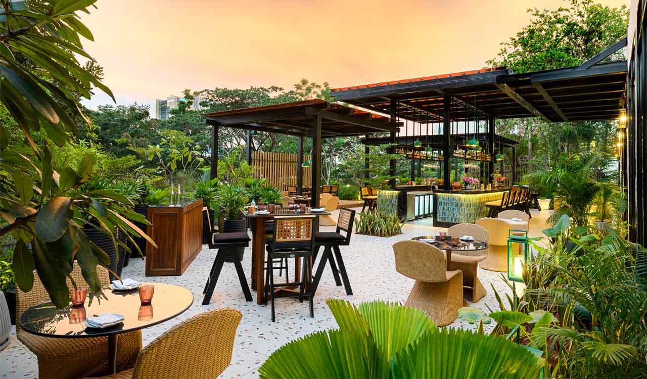 Hyatt Hyderabad Gachibowli launches 4Note Gardens with garden dining and cocktails