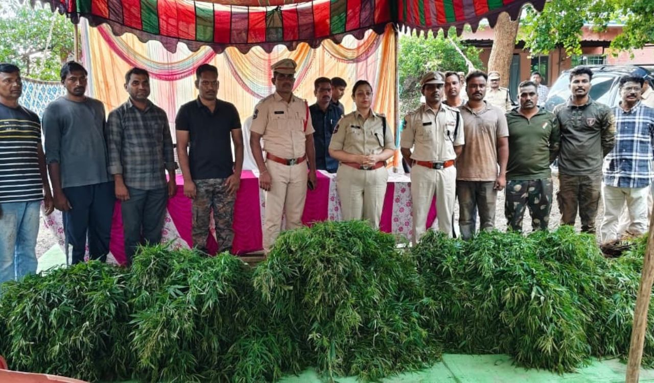 Asifabad police arrest father-son duo for cultivating ganja worth Rs 1.50 crore