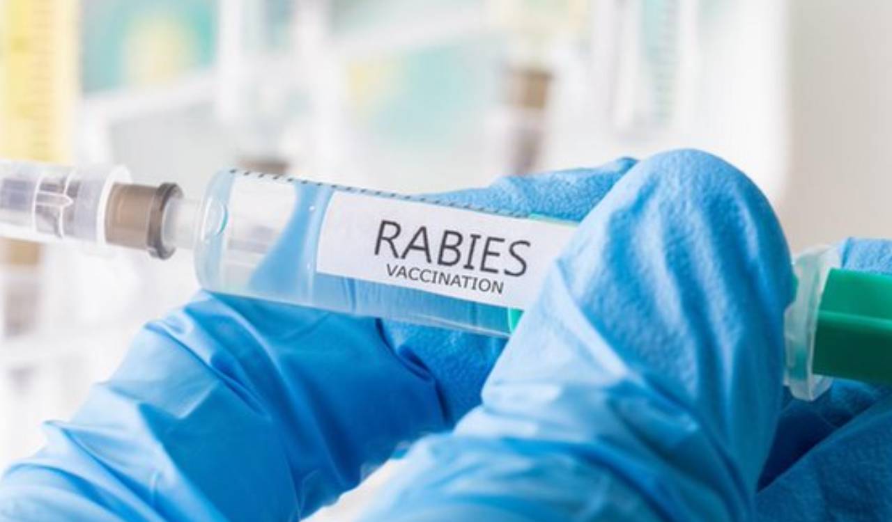 Fake Abhayrab rabies vaccine flagged; QR code checks advised for post‑Nov 2025 doses