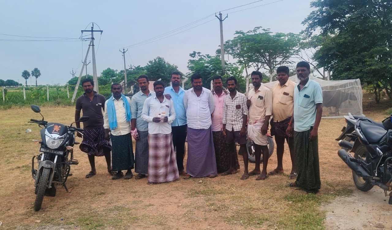 Telangana farmers protest power disruptions, low voltage and crop losses