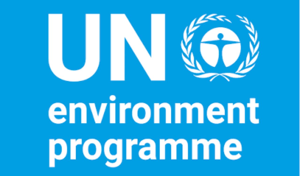 Some climate damage irreversible, historical emitters must act: UNEP India head