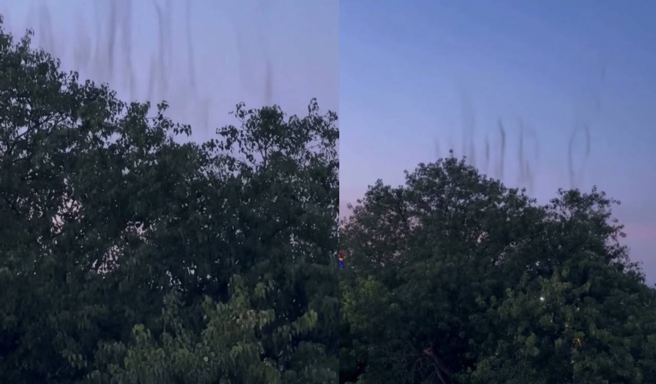 Residents demand regular fogging after Uppal mosquito swarm video goes viral