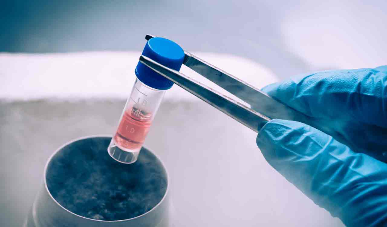 Stem cell therapy warning: NMC, Health Ministry bar unproven treatments