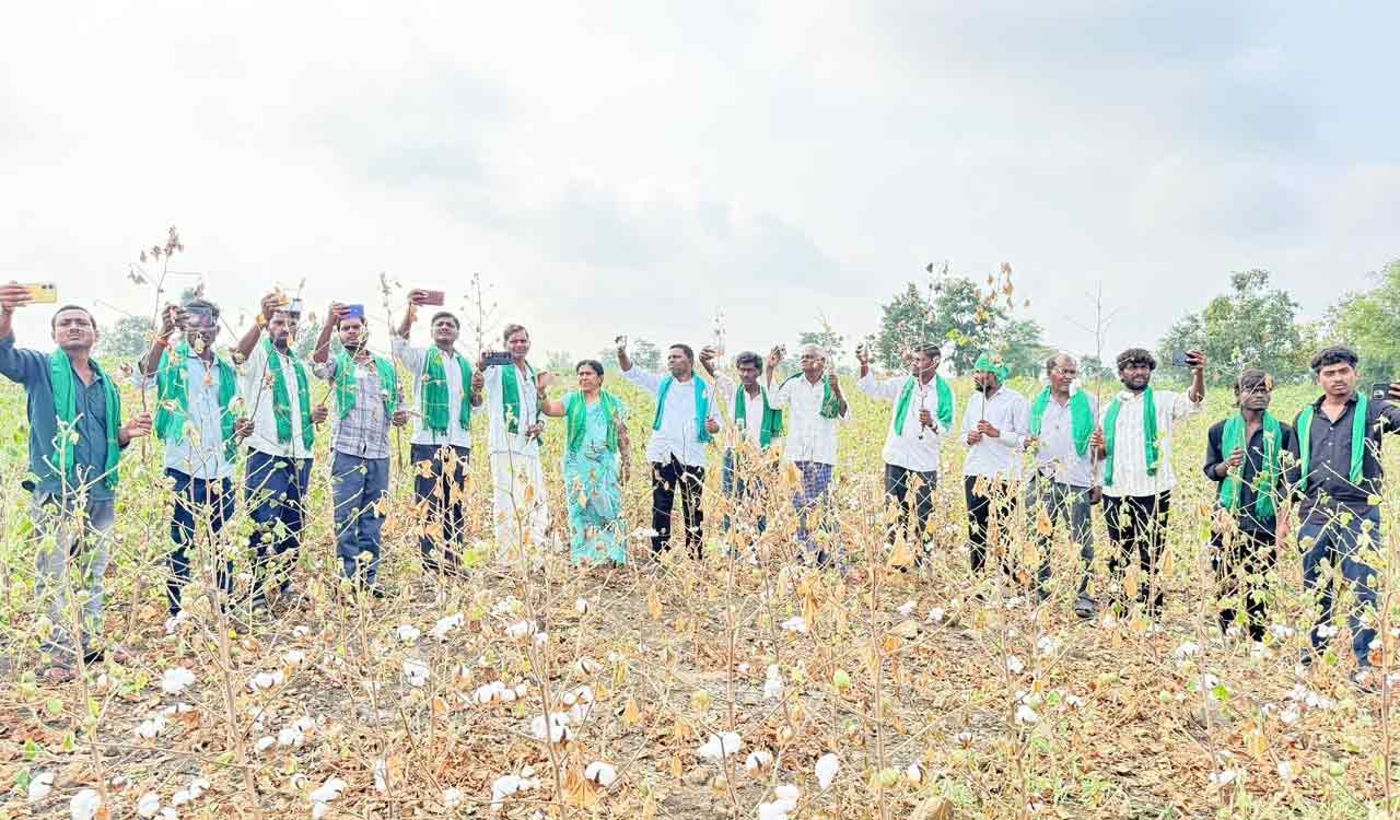 Adilabad farmers send selfies of withered cotton plants to Rahul Gandhi, blame Congress for drought