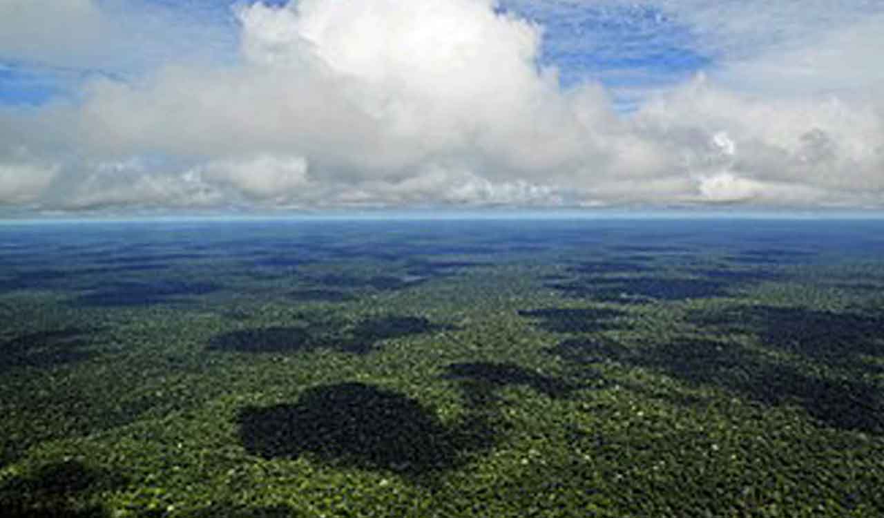 Environmentalists celebrate Lula’s reelection in Brazil: ‘The Amazon can breathe sigh of relief’