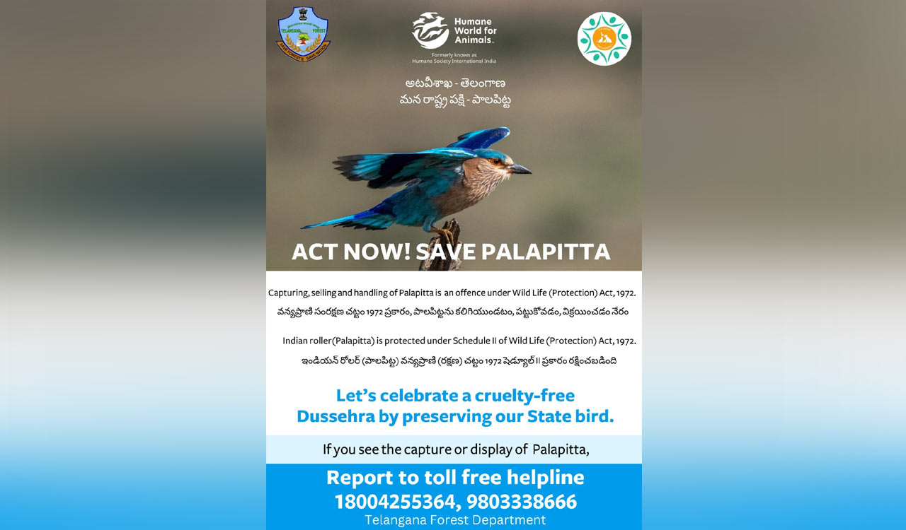 Dasara: Public urged to report illegal capture and display of Telangana’s state bird Palapitta