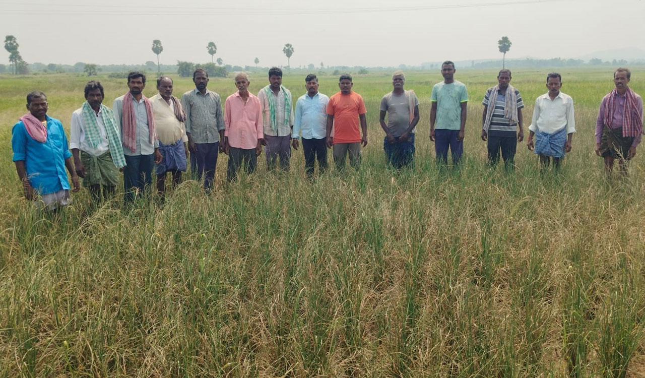 Political parties, farmers associations allege inconsistencies in drought-hit mandals list in erstwhile Khammam