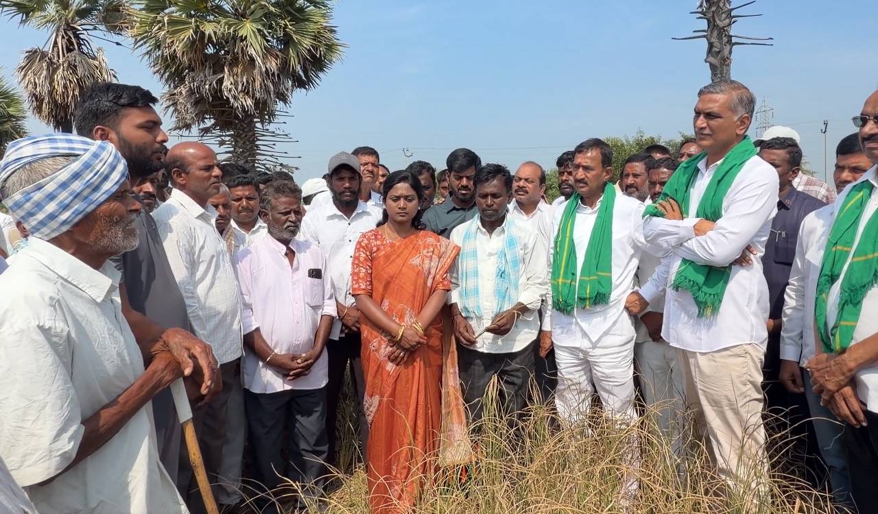 Harish Rao demands white paper on water stocks, drought relief funds