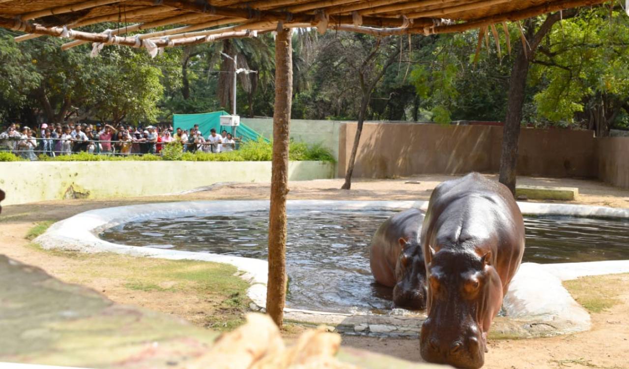 Hyderabad zoo draws nearly 22,000 visitors on Dussehra holiday