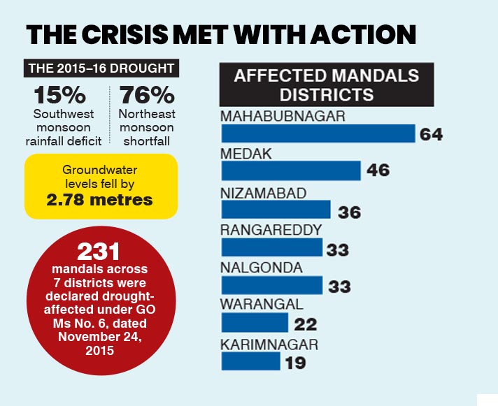 Infographic