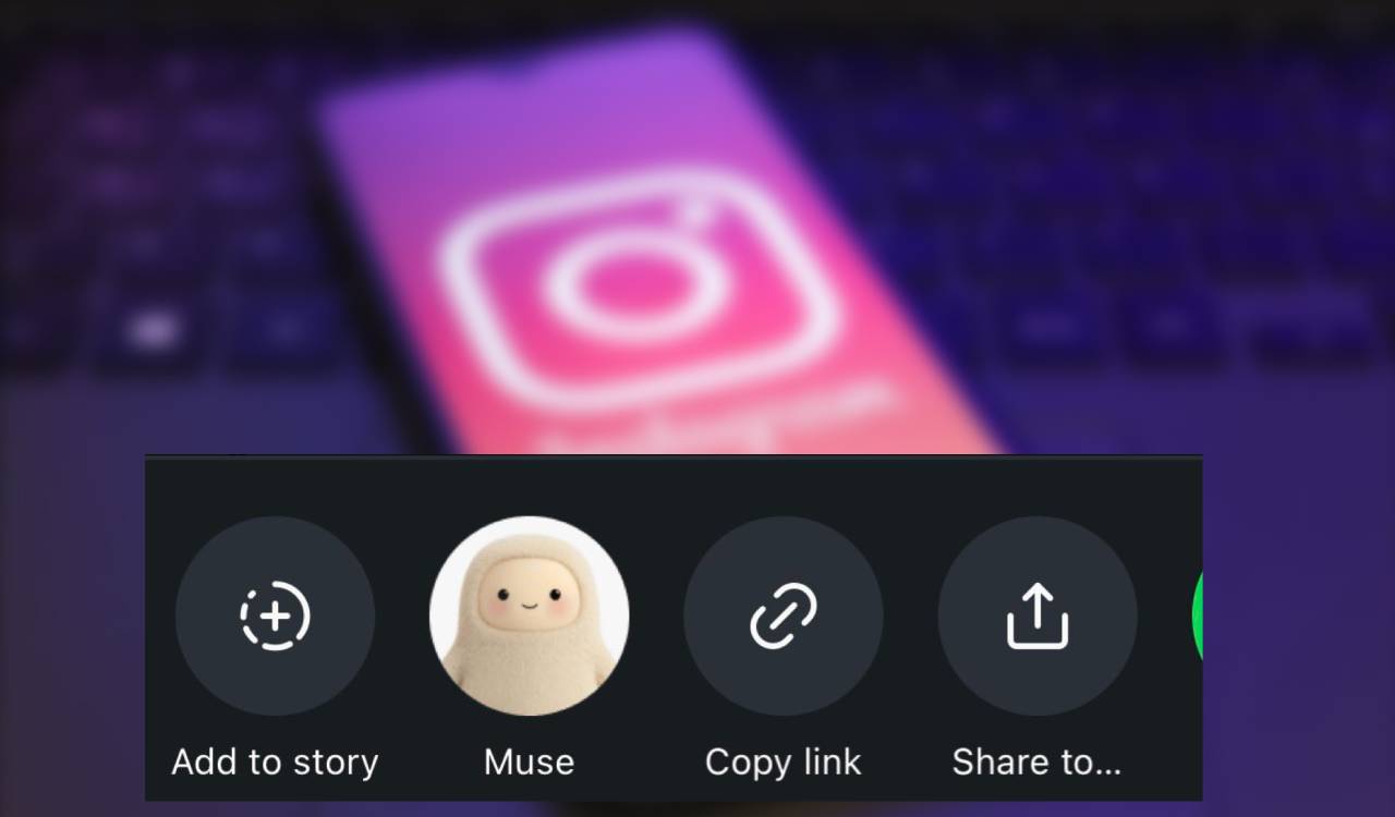 What Is The New ‘Muse’ Icon On Instagram? Here’s What You Need To Know