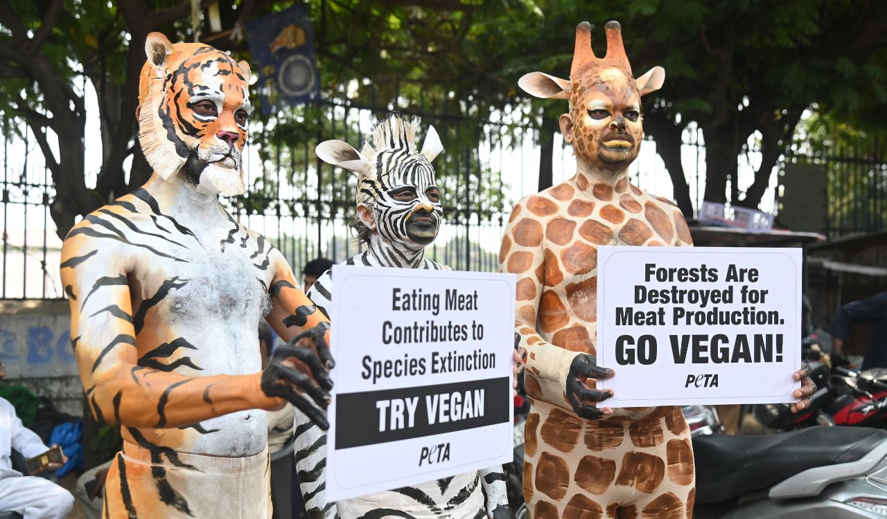 PETA activists highlight meat production’s impact on wildlife in Hyderabad