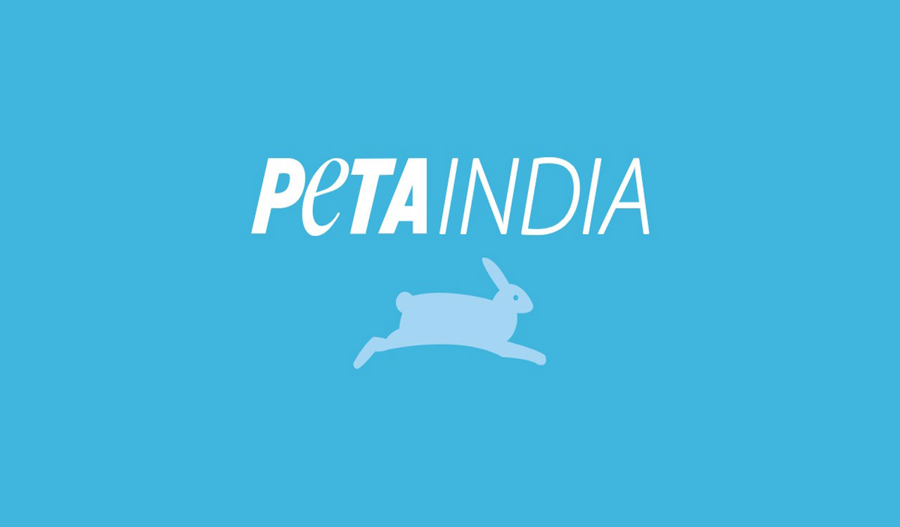 PETA India seeks withdrawal of draft laboratory animal rules