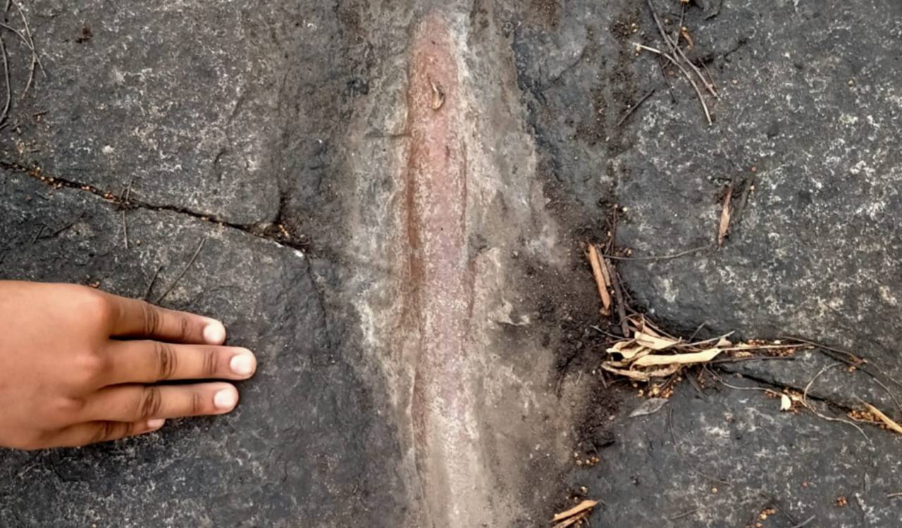 Prehistoric grooves and rock art discovered at Mrugavani National Park near Hyderabad