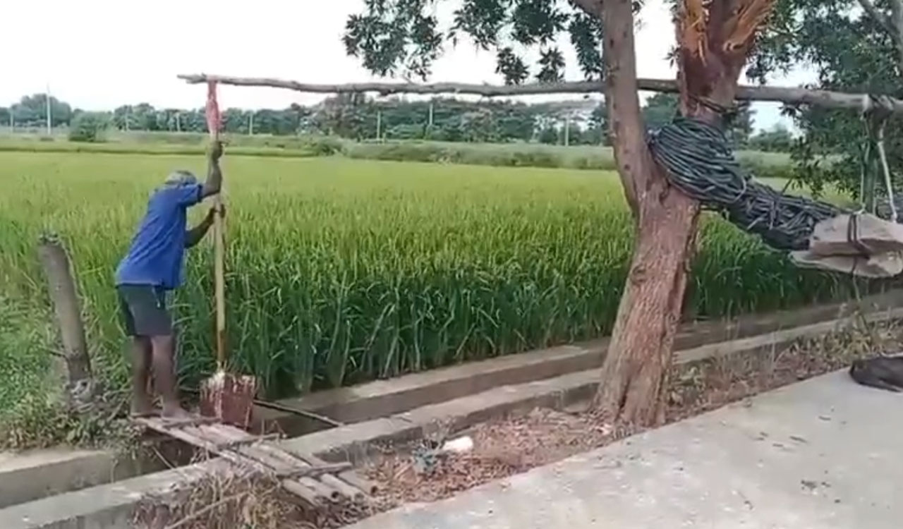 Watch: Farmer lifts drain water by hand amid drought in Siddipet