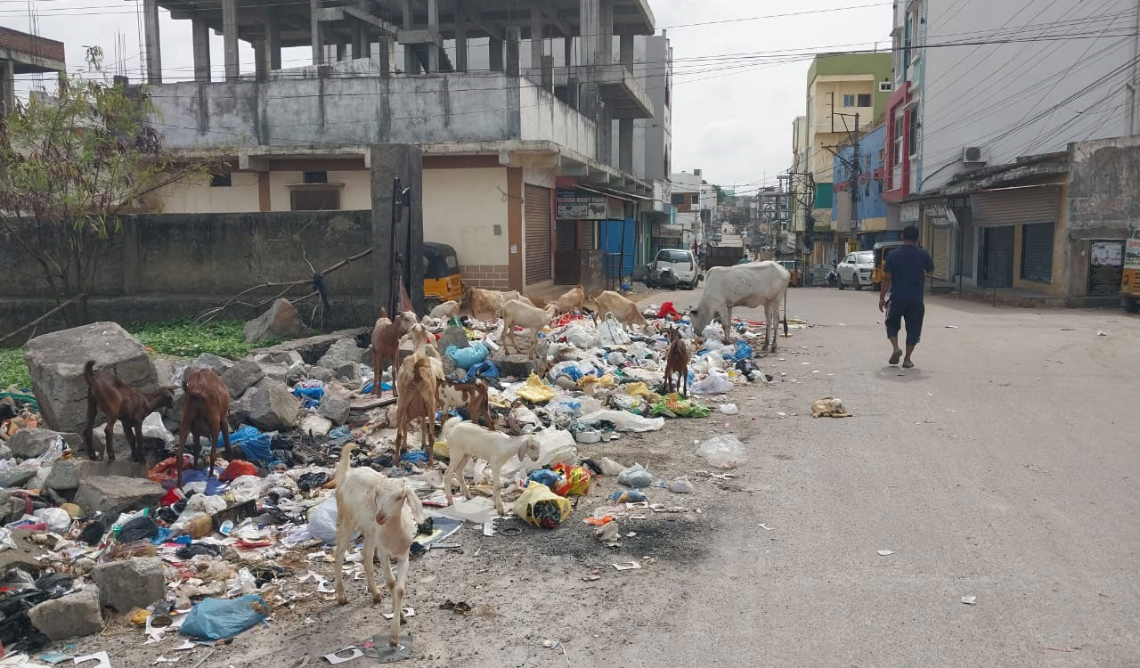 Jalpally residents flag civic woes nearly a year after GHMC merger