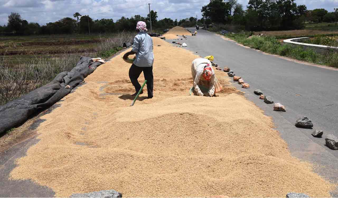 Telangana farmers, farm labourers return to migration amid water shortages, crop losses